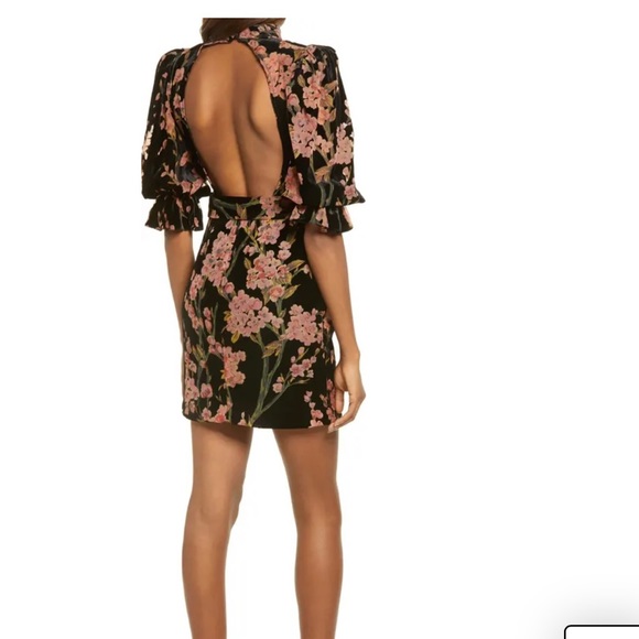 Floral Open Back Velvet Dress
LAVISH ALICE size 6 pre owned non smoking house - Picture 2 of 2